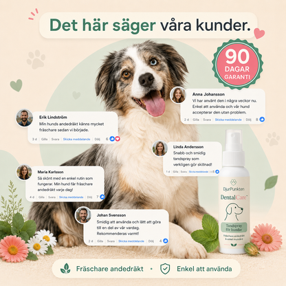 Spara Upp till 78 % Idag