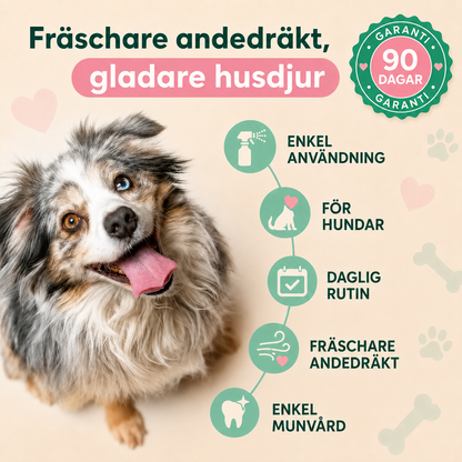 Spara Upp till 78 % Idag
