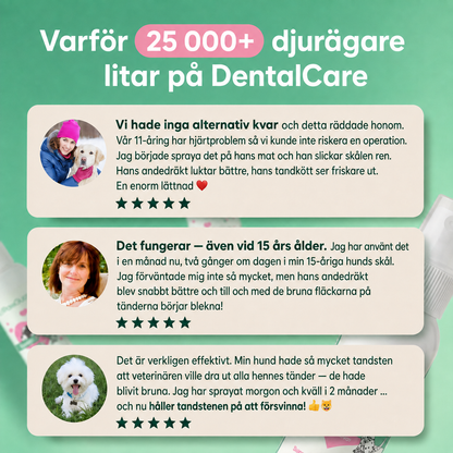 Spara Upp till 78 % Idag