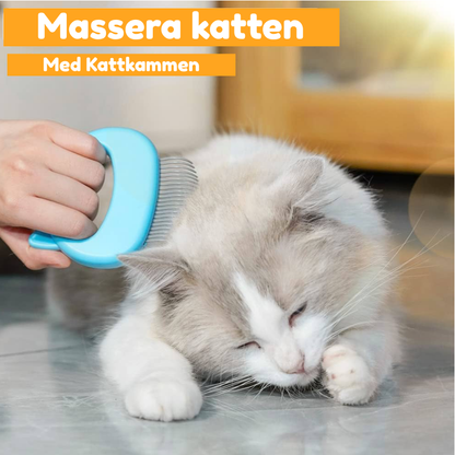 PälsBorste