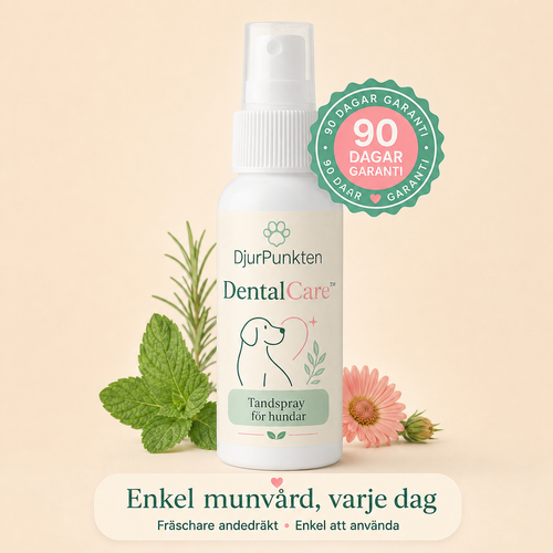 Spara Upp till 78 % Idag
