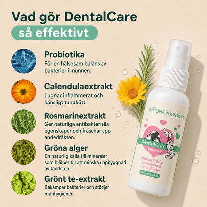 Spara Upp till 78 % Idag